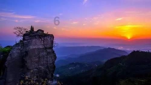 解救金刚鹦鹉